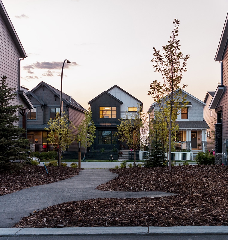 Residential neighborhood with modern houses in various designs and colors, featuring front porches, large windows, young trees, mulch beds, and a paved walkway, captured during dusk or dawn with soft ambient lighting
