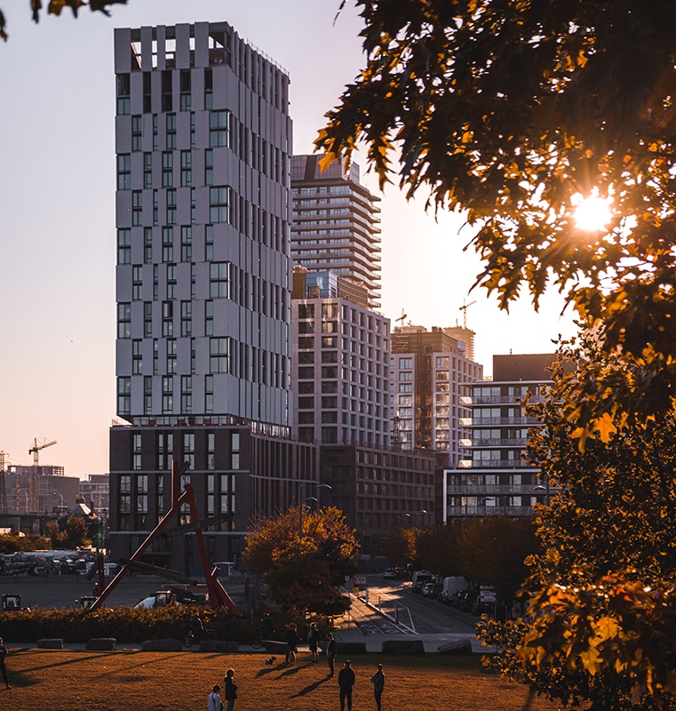 Cityscape at sunset featuring modern high-rise buildings, a uniquely designed tallest tower, a park with people walking on grass, and autumn-colored trees framing the scene with sunlight filtering through the branches.