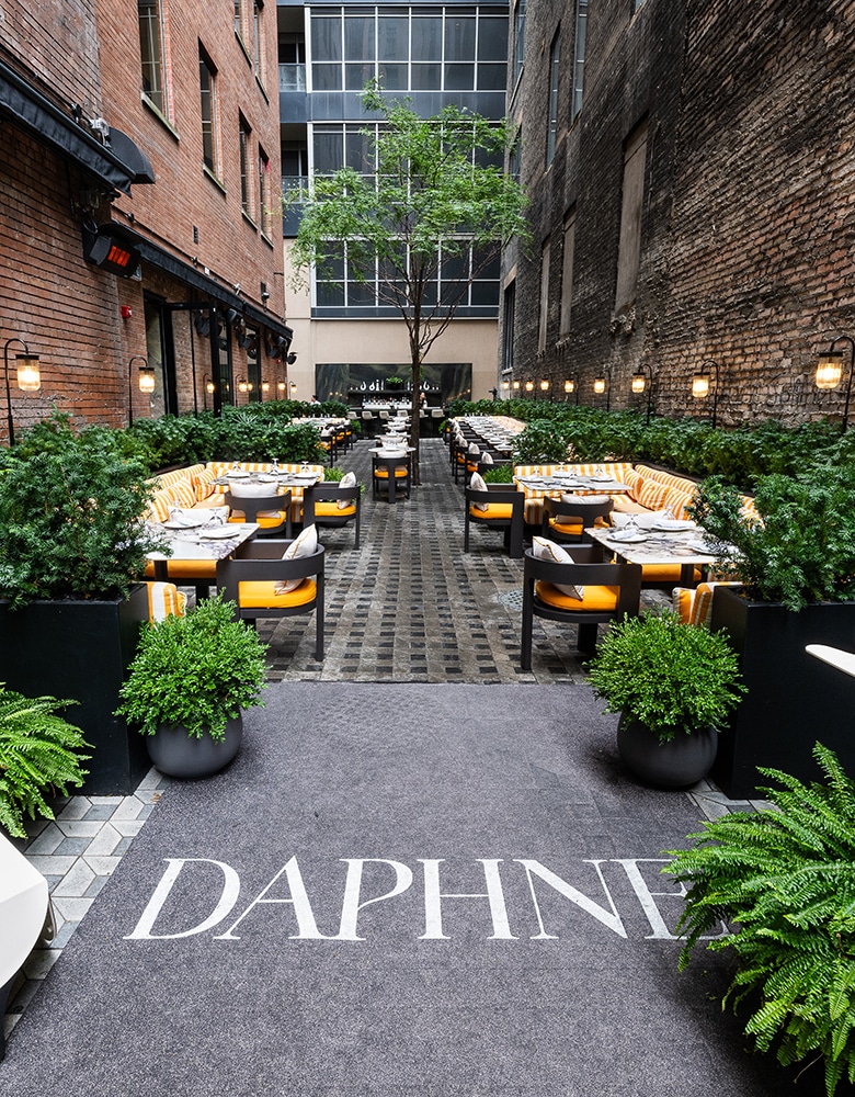 Outdoor dining area at Daphne restaurant nestled between two brick buildings; entrance carpet reads “Daphne,” leading to yellow and white striped benches and neatly arranged tables and chairs; green shrubs line the walkway and a tall tree stands centrally, adding natural elegance to the space